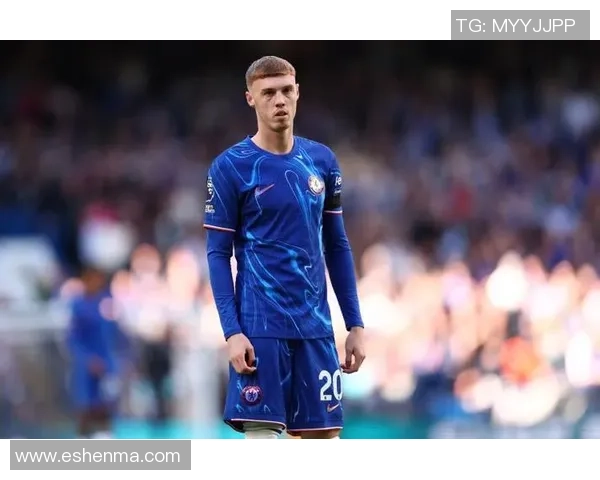 国外足球明星转会与职业生涯变迁的历史探讨与分析