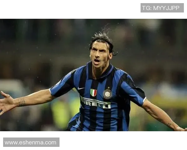 足球明星扫盲指南揭示他们背后的故事与成就 足球明星扫盲指南揭示他们背后的故事与成就