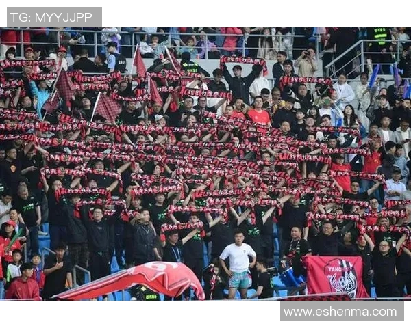 泉水湖足球明星赛盛大开启球迷齐聚共享激情与荣耀